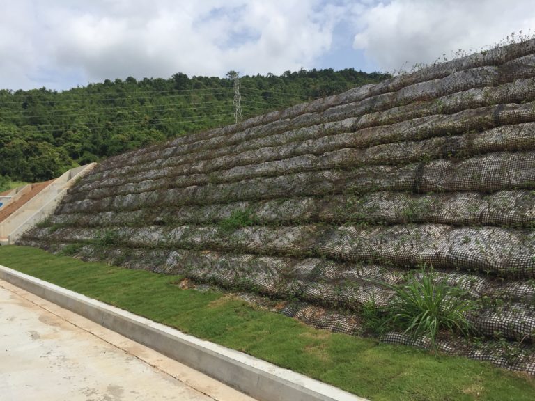 MSE Wall (Mechanically Stabilized Earth Wall) ENVI 101